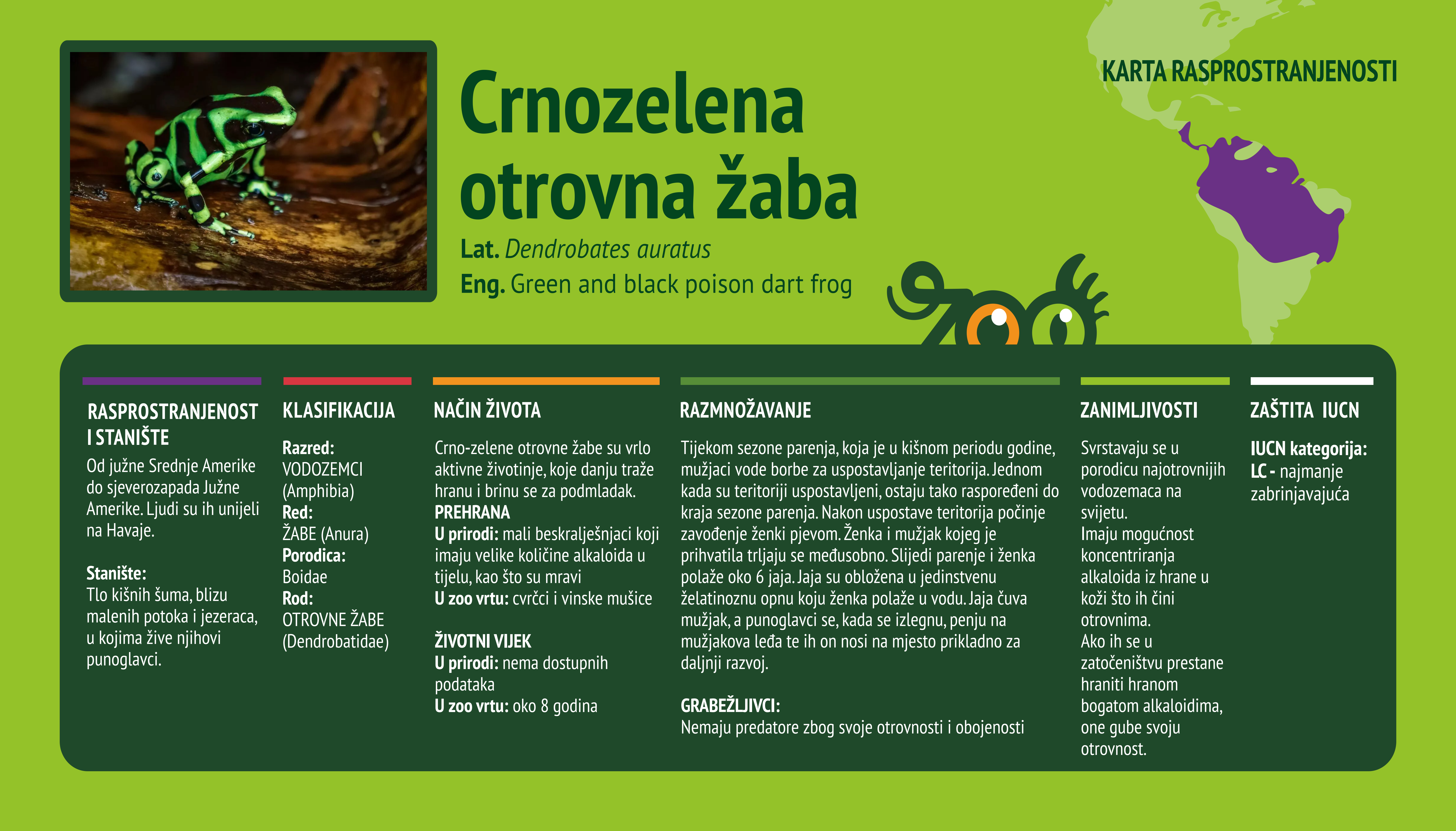 Crnozelena otrovna žaba (Dendrobates auratus)